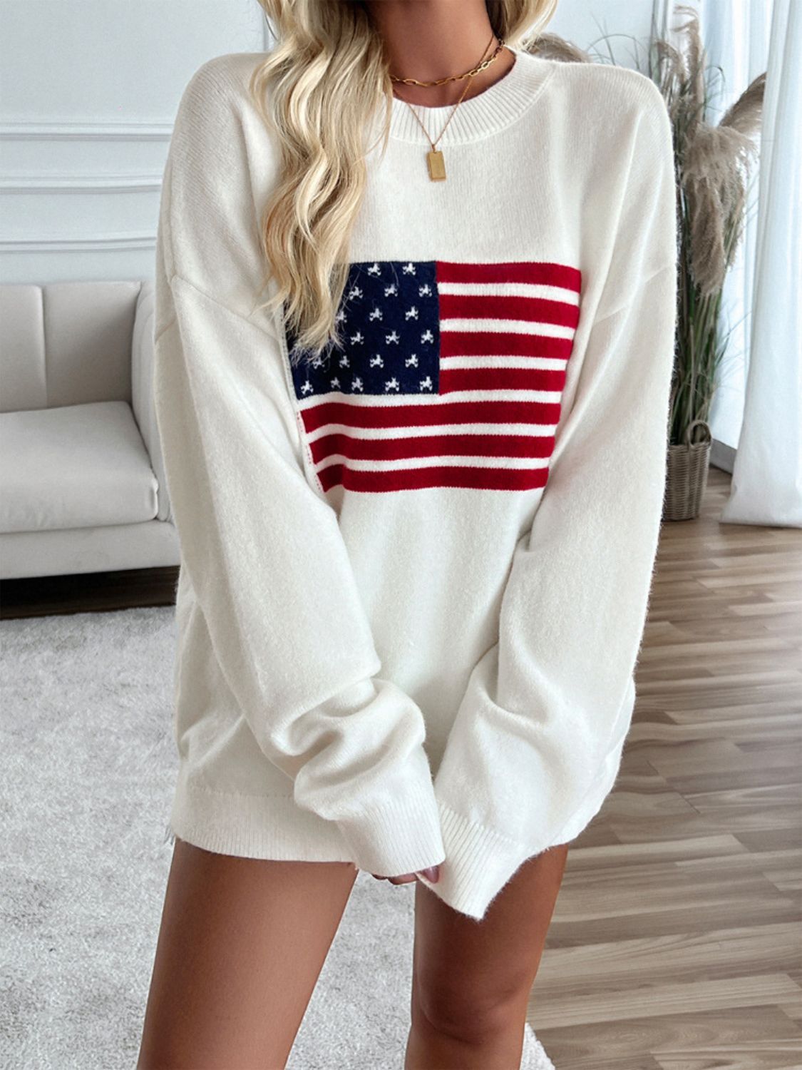 🇺🇸Devin US Flag Round Neck Long Sleeve Knit Top