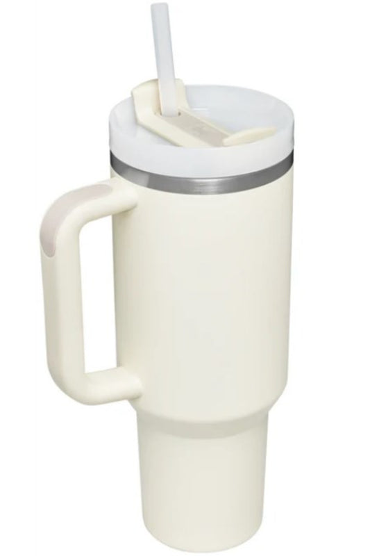 Aurora Borealis Multicolor Stainless Steel Tumbler with Upgraded Handle and Straw